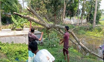 মতলবে ঝড়ের তাণ্ডবে ভেঙেছে অন্তত ২৫টি বৈদ্যুতিক খুঁটি, ৪ লক্ষাধিক মানুষ বিদ্যুৎবিহীন