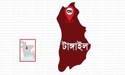 কালিহাতীতে টাপেন্টাডল ট্যাবলেটসহ বিক্রেতা গ্রেপ্তার