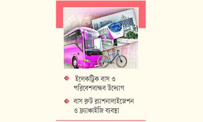এবার ঢাকায় মনোরেল ও পিংক বাস