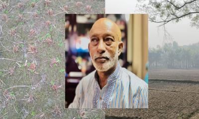 জমি দখলের চেষ্টায় বাধা দেওয়ায় প্রবাসীর স্ত্রীকে মারধরের অভিযোগ 