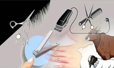কোরবানির আগে চুল-নখ কাটা নিয়ে ইসলামের নির্দেশনা