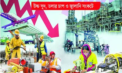 বেসরকারি খাতে গতি হারিয়েছে অর্থনীতি