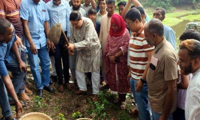 মাগুরায় খাল পুনঃখনন শুরু
