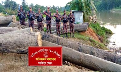 বিজিবির অভিযানে বাঘাইছড়িতে অবৈধ সেগুন কাঠ জব্দ