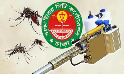 কাগজে মশক নিধন, বাস্তবে ভোগান্তি: ডিএনসিসির তালিকায় ‘মৃত’ কর্মীর ডিউটি!