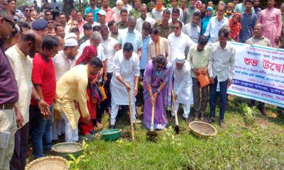 শিবালয়ে আমডালা খাল পুনঃখনন শুরু, সুফল পাবেন হাজারো কৃষক