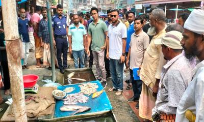 ভেড়ামারায় জেলিযুক্ত চিংড়ি বিক্রির দায়ে ব্যবসায়ীকে জরিমানা, মাছ ধ্বংস