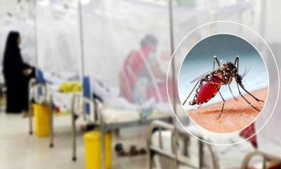 ডেঙ্গুতে প্রাণ গেল আরও ৫, হাসপাতালে ভর্তি ৮৪১