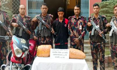 কুষ্টিয়ায় বিজিবির অভিযানে ১৭ লাখ টাকার মাদক ও মালামাল জব্দ, আটক ১