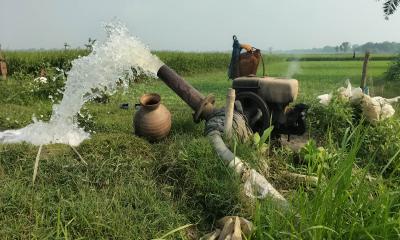 মহেশপুরে লক্ষ্যমাত্রা ছাড়াল বোরো আবাদ, সেচ ও জ্বালানি সংকটে বিপাকে কৃষক