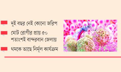 ফের চোখ রাঙাচ্ছে ম্যালেরিয়া