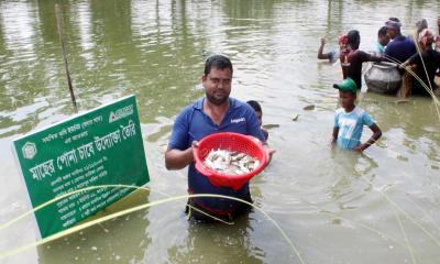 পোনা উৎপাদন করে বাইরুল ইসলাম পেয়েছেন সফলতা