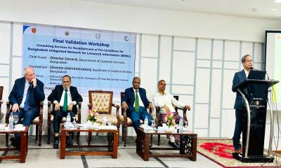 দেশে প্রথমবারের মতো গবাদিপশুর বীমা নীতিমালা, প্রস্তুত হচ্ছে বিশাল ডাটাবেস