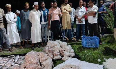 তালতলীতে ২০০ কেজি ইলিশ ও চিংড়ি জব্দ, এতিমখানায় বিতরণ