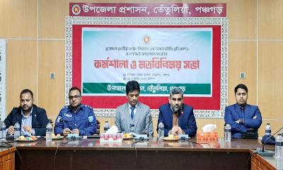 তেঁতুলিয়ায় নির্বাচনী আচরণবিধি ও গণভোট বিষয়ক কর্মশালা অনুষ্ঠিত