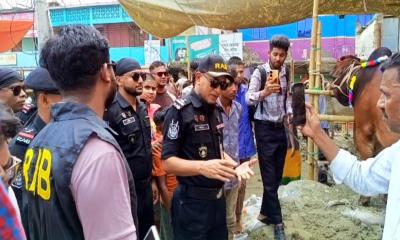 মাদারীপুরে পশুর হাটে নিরাপত্তা জোরদার: মাঠে র‍্যাব