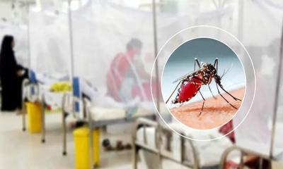 ডেঙ্গুতে ৪ জনের মৃত্যু, হাসপাতালে ভর্তি ৭৪৫