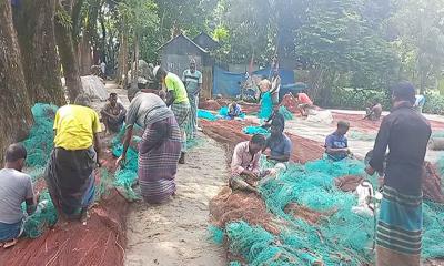 ইলিশ ধরতে মধ্যরাতে নদীতে নামবেন জেলেরা