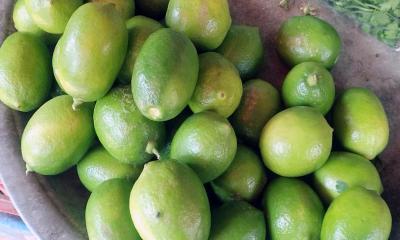 রোজার আগেই লেবুর দামে আগুন