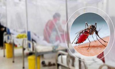 ডেঙ্গু আক্রান্তে হাসপাতালে আরও ৫৭২