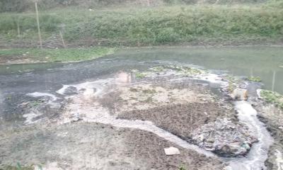 চিনিকলের বর্জ্যে দূষিত চন্দনা নদী