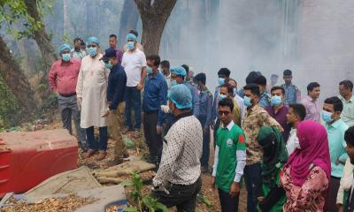 মাগুরায় ডেঙ্গু প্রতিরোধে সরকারি উদ্যোগ