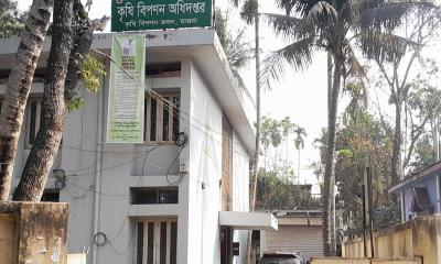 মাগুরায় প্রকল্পে অনিয়মের অভিযোগ, তদন্তে উপসচিব