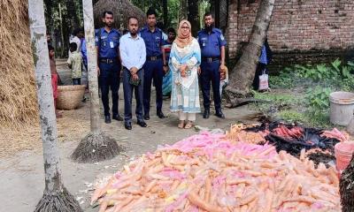 নকলায় ভেজাল আইসক্রিম কারখানায় অভিযান, ৩০ হাজার টাকা জরিমানা