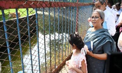 প্রাণিদের মানবিক যত্ন ও সুরক্ষা নিশ্চিত করতে হবে