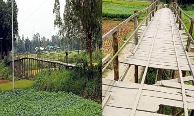 নাগরপুরে সেতুর অভাবে ৯ গ্রামের মানুষের ভোগান্তি