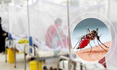 ডেঙ্গুতে আরও ৩ মৃত্যু, হাসপাতালে ৭০০