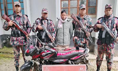 লালমনিরহাটে বিজিবির অভিযানে অস্ত্রসহ যুবক ও ভারতীয় গরু আটক