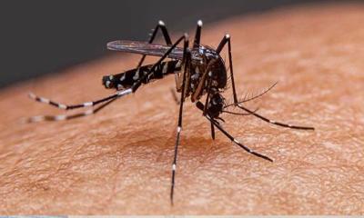 অবহেলা, অসচেতনতা ও প্রতিরোধের জরুরি বার্তা