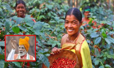 কোরাপুট কফি ভারতের গর্ব: মোদির প্রশংসা, রূপান্তর ঘটছে নারী কৃষকদের জীবনে