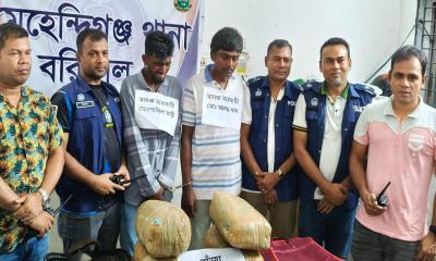 মেহেন্দিগঞ্জে ৫ লাখ টাকার গাঁজাসহ গ্রেপ্তার দুই