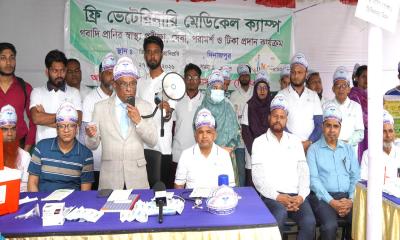 হাবিপ্রবিতে ওয়ার্ল্ড ভেটেরিনারি ডে উপলক্ষে ফ্রি মেডিকেল ক্যাম্পের আয়োজন