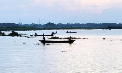 অবাধে হচ্ছে আড়িয়াল খাঁ নদীতে ‘ইলিশ শিকার’