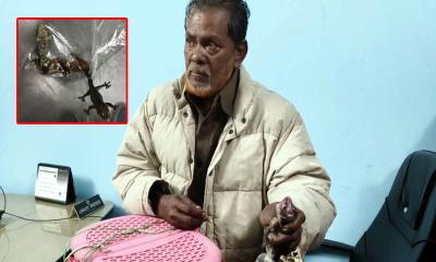 মেহেরপুরে র‌্যাবের অভিযানে ৬০ লাখ টাকার তক্ষক উদ্ধার, আটক ১