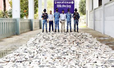 চাঁদপুরে ১২৭ মণ জাটকা জব্দ, ১০ জেলের কারাদণ্ড
