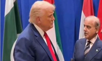 ট্রাম্পের কূটনীতির প্রশংসা করলেন শেহবাজ