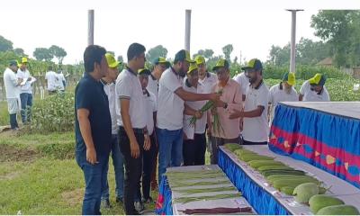 দিনাজপুরের বাশের হাটে ব্রাক সবজি গবেষণা খামারে প্রদর্শনী অনুষ্ঠিত