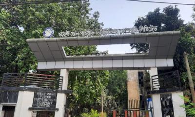 প্রতিশ্রুতি আছে, বিদ্যুৎ নেই: অব্যবস্থাপনায় পুড়ছে মাগুরার জনজীবন