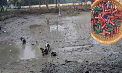 দাগনভূঞা থানা পুকুর থেকে ২১৯ পিস শর্টগানের গুলি উদ্ধার