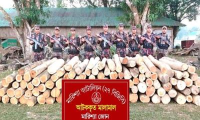 বাঘাইছড়িতে বিজিবির অভিযানে ২ লক্ষাধিক টাকার অবৈধ সেগুন কাঠ জব্দ