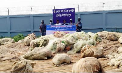 মেঘনায় যৌথ অভিযানে নিষিদ্ধ জাল জব্দ