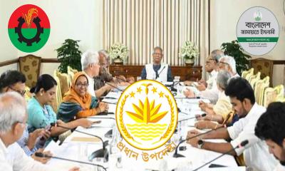 বিএনপি-জামায়াতের চোখে কারা বিতর্কিত উপদেষ্টা?