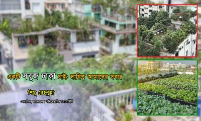 একটি সবুজ ঢাকা চাই: দায়িত্ব আমাদের সবার