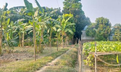 একটি রাস্তাই গড়ে দিতে পারে শত শিশুর ভবিষ্যৎ