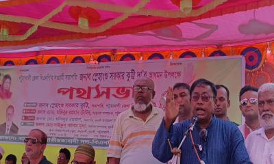 দুমকিতে বিএনপির পথসভা