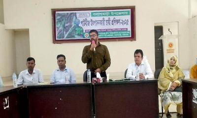 পলাশবাড়ীতে পাটবীজ উৎপাদনকারী চাষী প্রশিক্ষণ